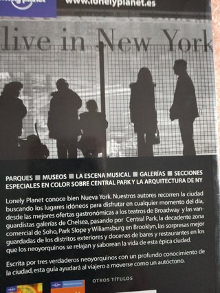 LOTE 2 GUIAS DE VIAJE: NUEVA YORK/ISRAEL-PALESTINA