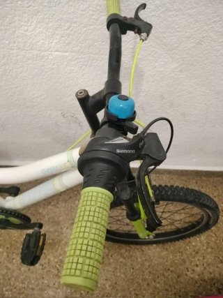 Bicicleta infantil 20 Charm 205
