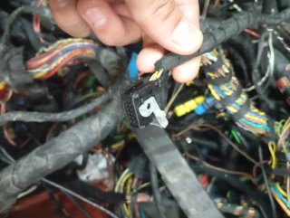 Conectores BMW E60
