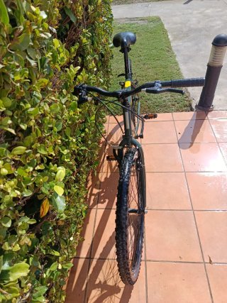 Bicicleta de montaña verde