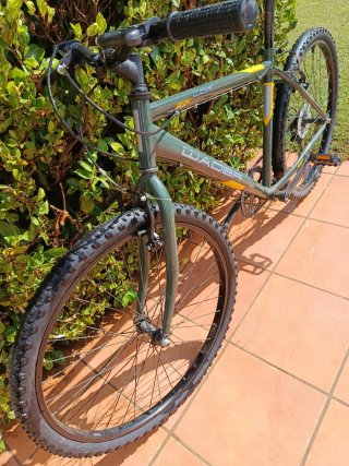 Bicicleta de montaña verde