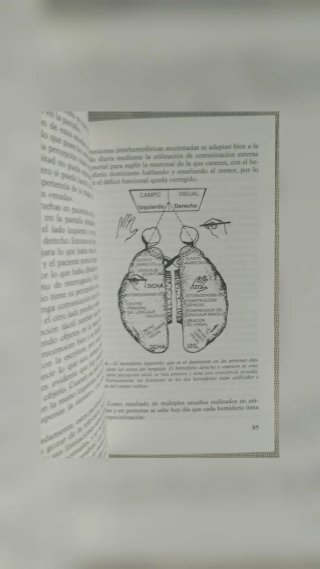 ✅Libro Mi Cerebro y Yo+regalo punto de libro