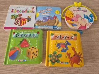 Lote 5 mini libros cartoné.