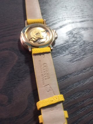 Orologio Pryngeps Classic Automatic - Pari al Nuo
