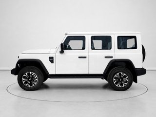 Yooudooo 6 2.0 L Adventurer 4WD 122 kW (166 CV)
