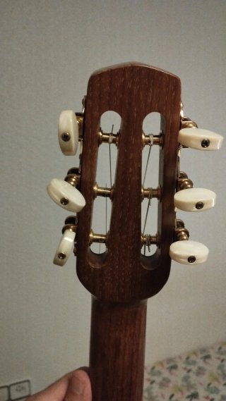 Guitarra Luthier Gerónimo Mateos Modelo Audrey