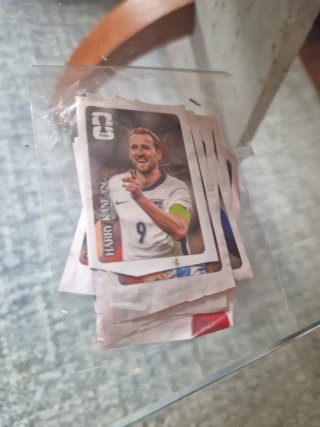 Cromos Mundial Panini
