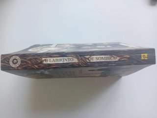 O Labirinto de Sombra (Portuguese Edition)