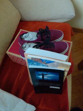 Pack de zapatillas vans + 3 libros.