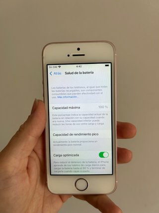 iPhone SE (1ª gen) Oro Rosa