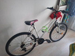 Bicicleta blanca montaña
