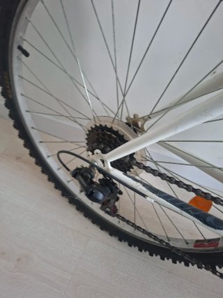 Bicicleta blanca montaña
