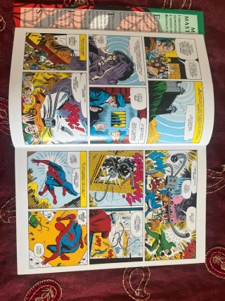 Spider-Man, Il Potere di Goblin