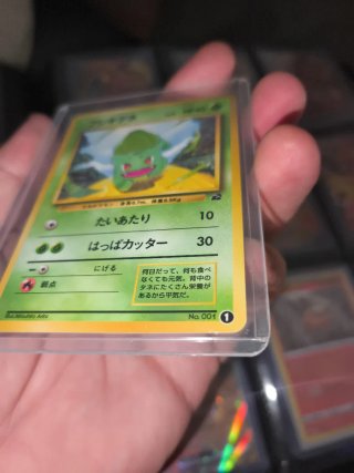 Carta Pokémon Bulbasaur Intro Pack Japonesa