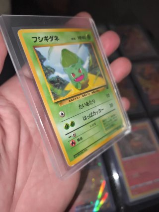 Carta Pokémon Bulbasaur Intro Pack Japonesa