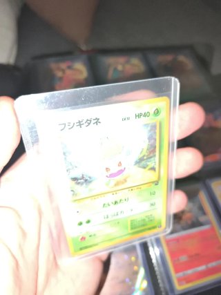 Carta Pokémon Bulbasaur Intro Pack Japonesa