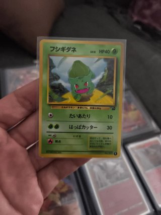 Carta Pokémon Bulbasaur Intro Pack Japonesa