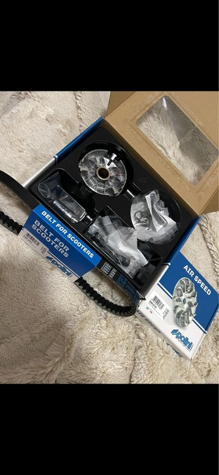 Variador Polini Speed para Scooters