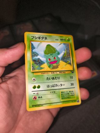 Carta Pokémon Bulbasaur Intro Pack JAPO