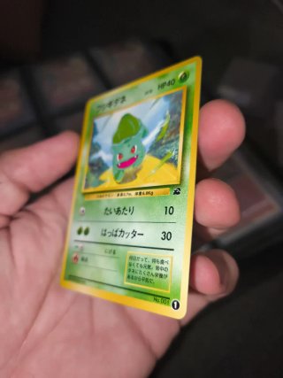 Carta Pokémon Bulbasaur Intro Pack JAPO