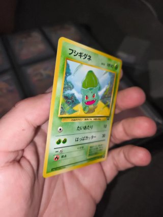 Carta Pokémon Bulbasaur Intro Pack JAPO