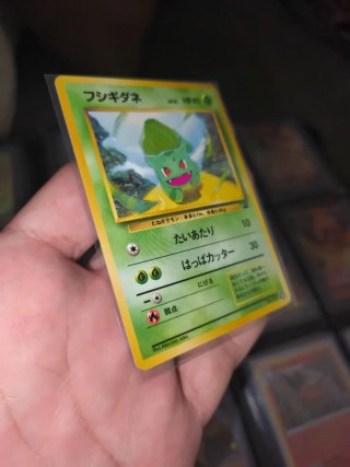 Carta Pokémon Bulbasaur Intro Pack JAP