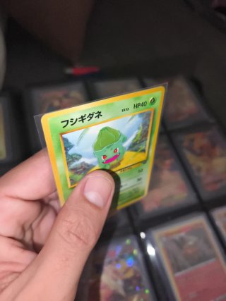 Carta Pokémon Bulbasaur Intro Pack JAP