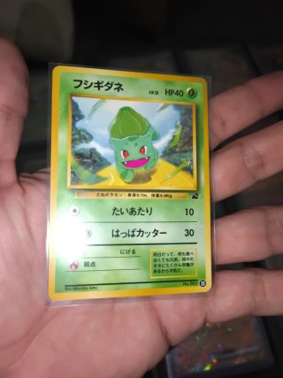 Carta Pokémon Bulbasaur Intro Pack JAP