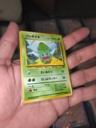 Carta Pokémon Bulbasaur Intro Pack JAP