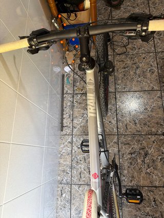 Bicicleta Gerg Plata