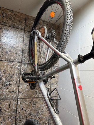 Bicicleta Gerg Plata