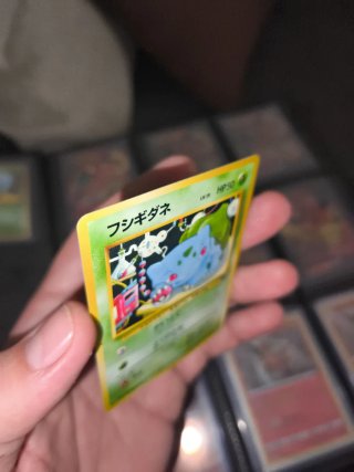 Carta Pokémon Bulbasaur Japonesa No. 001