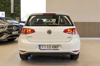 Volkswagen Golf   Advance 1.6 TDI 105cv BMT