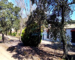 Casa rural en alquiler en Adamuz