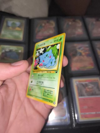 Carta Pokémon Bulbasaur Intro Pack JAPO