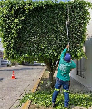Busco Jardinero