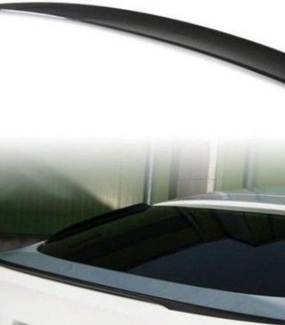 Alerón BMW X6 E71 M Performance