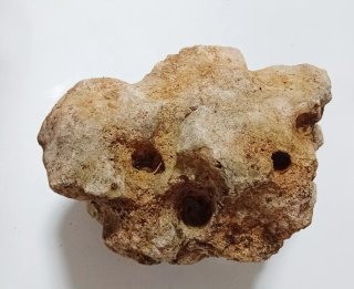 Rocalla Escultórica Colección Sierra Morena