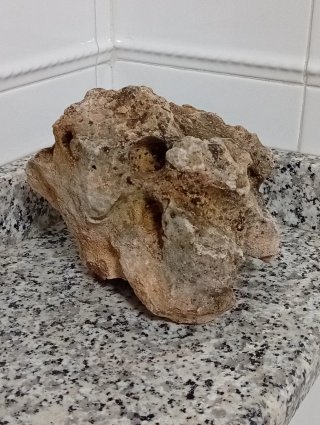 Rocalla Escultórica Colección Sierra Morena
