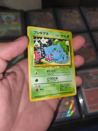 Carta Pokémon Bulbasaur Intro Pack JAPO