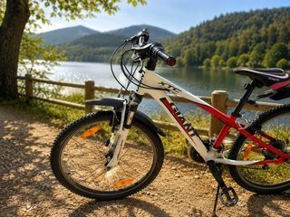 Bicicleta Giant XtC Jr 24