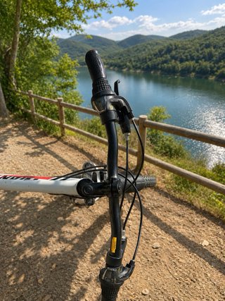 Bicicleta Giant XtC Jr 24