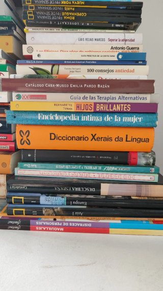 Lote de libros