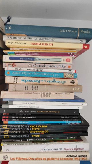 Lote de libros
