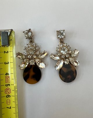 Pendientes Brillantes Carey