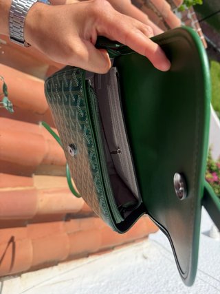 Bolso Goyard Verde Multicolor