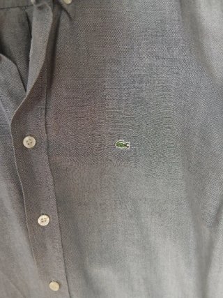 Camisa Lacoste Gris
