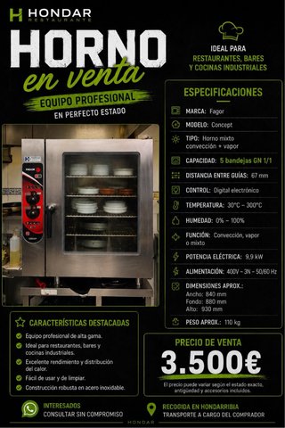 Horno Profesional Fagor Concept