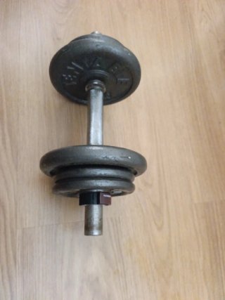 Pesa de gimnasio