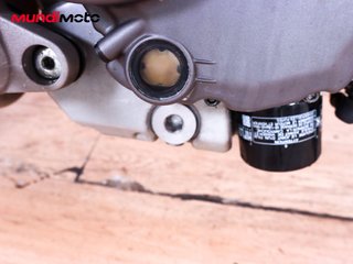 DUCATI MONSTER 696